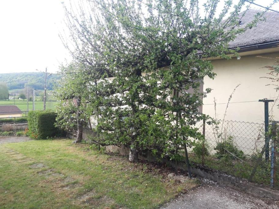 Maison Lombardi - Gite 6 Personnes 4 Etoiles Dun-sur-Meuse Eksteriør billede